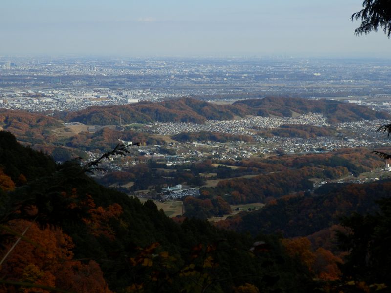 東面の市街地を望む