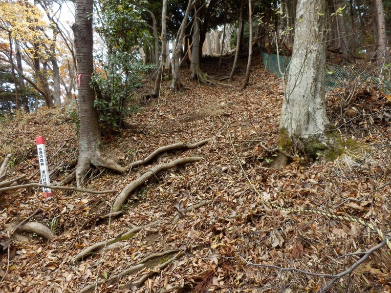 経ヶ岳山頂直下の急登