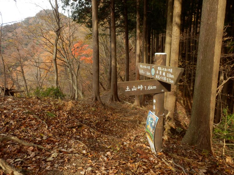 仏果山1.6kmの分岐
