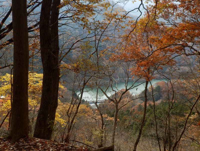 駆け下りると宮ヶ瀬湖にドボンしそう
