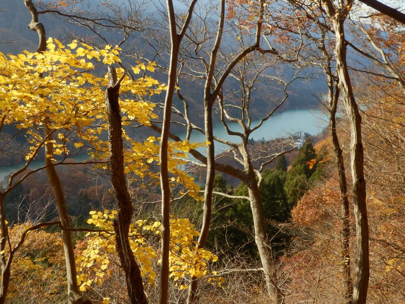 宮ヶ瀬湖を望む