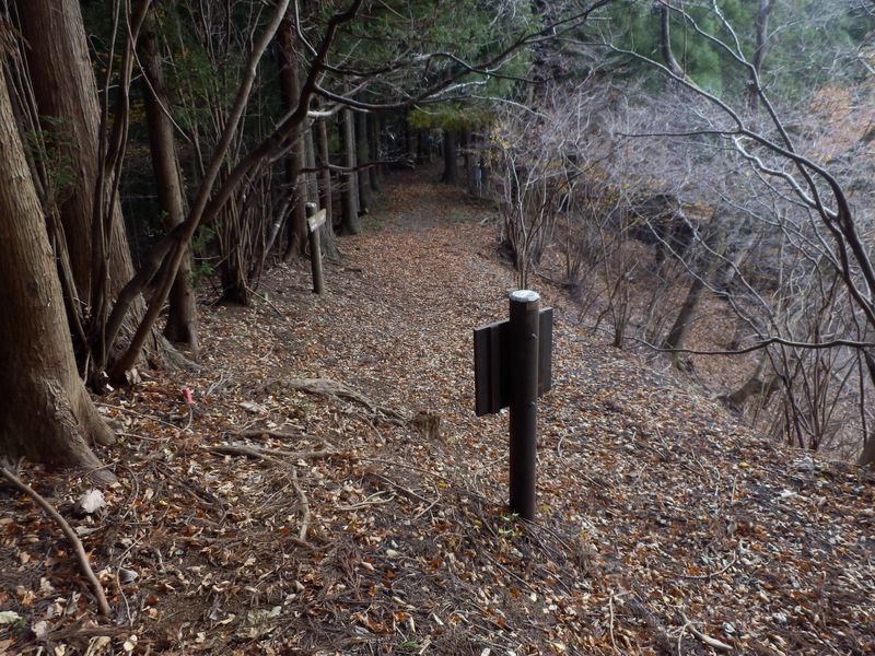 みやがせ道に合流