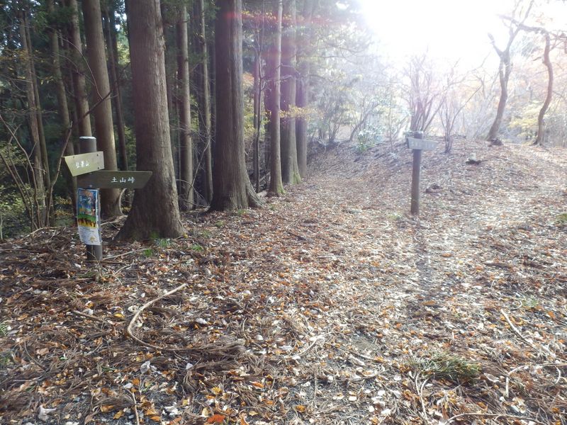 みやがせ道を分ける