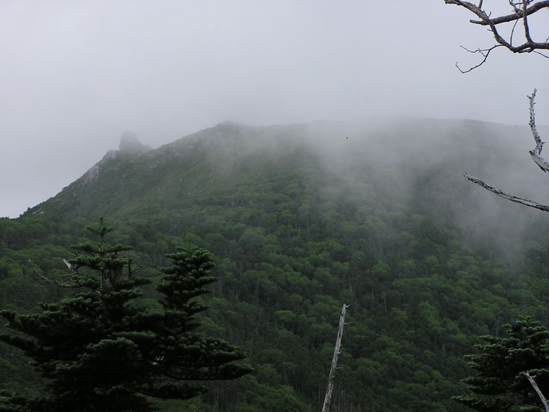金峰山 -- 行く手に金峰山が見え隠れする