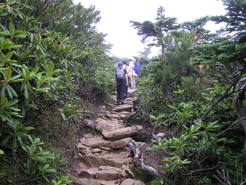 金峰山 -- まもなく森林限界