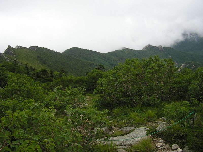 金峰山 -- 大日岩に至る尾根