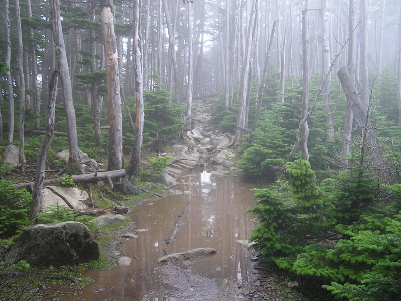 金峰山 -- 雨水のたまった登山道