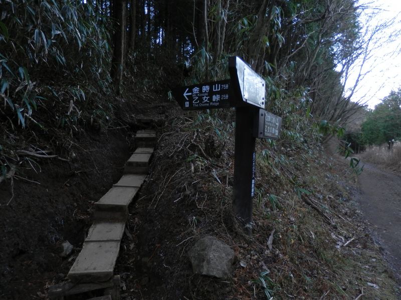 これより金時山登山道