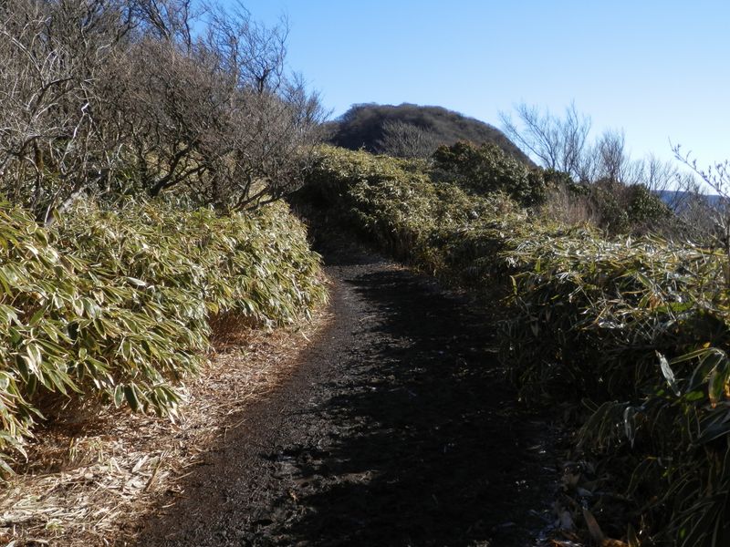 金時山が目前に