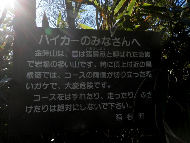 ハイカーとは、山野を徘徊する人のことかもしれない