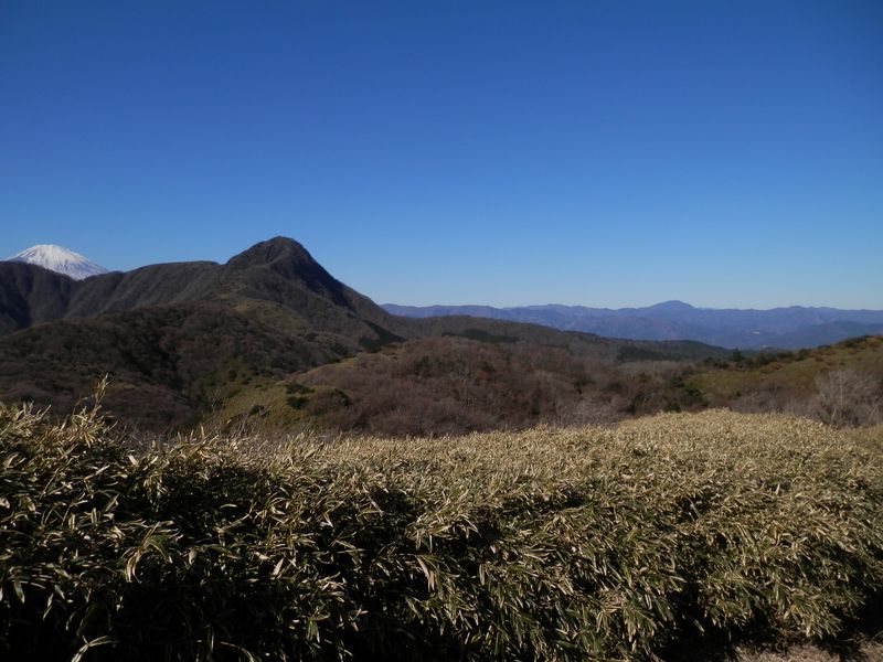 金時山の右に三国山稜、御正体山、今倉山など
