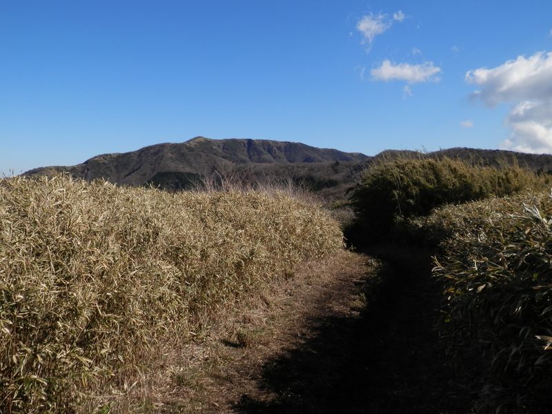 行く手の明神ヶ岳