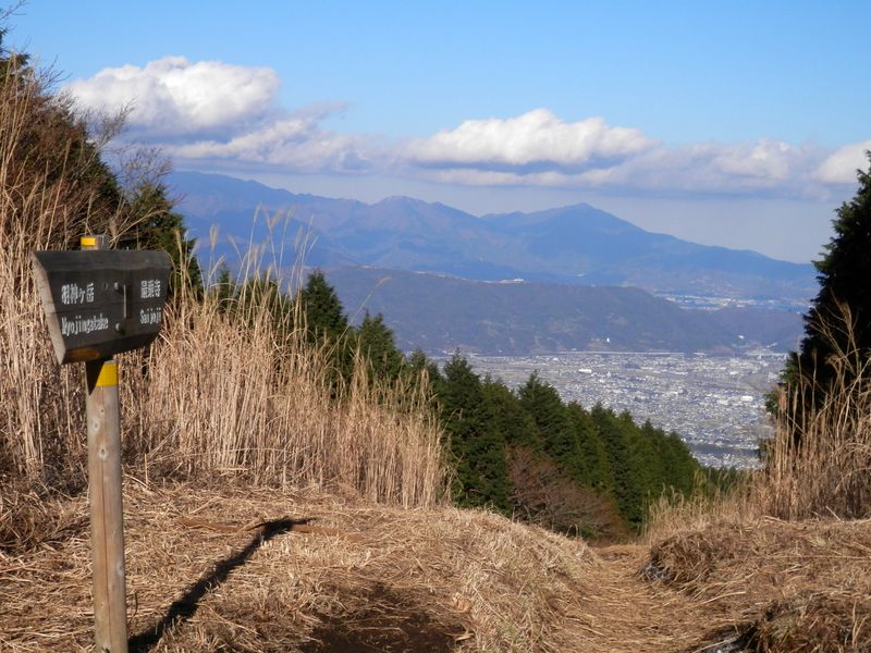 大山、二ノ塔、三ノ塔、塔ノ岳を望む