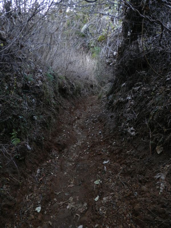 Ｖ字谷のような狭い道が多い