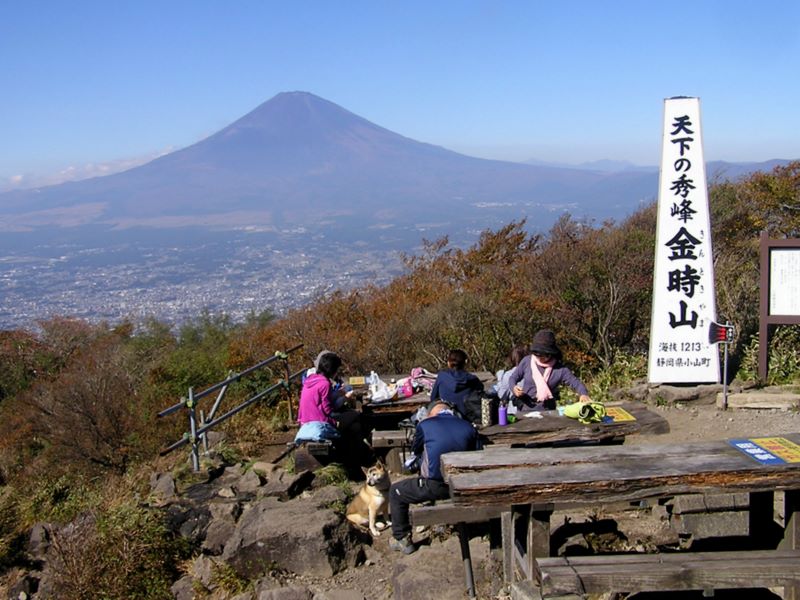 金時山 -- 金時山頂に到着