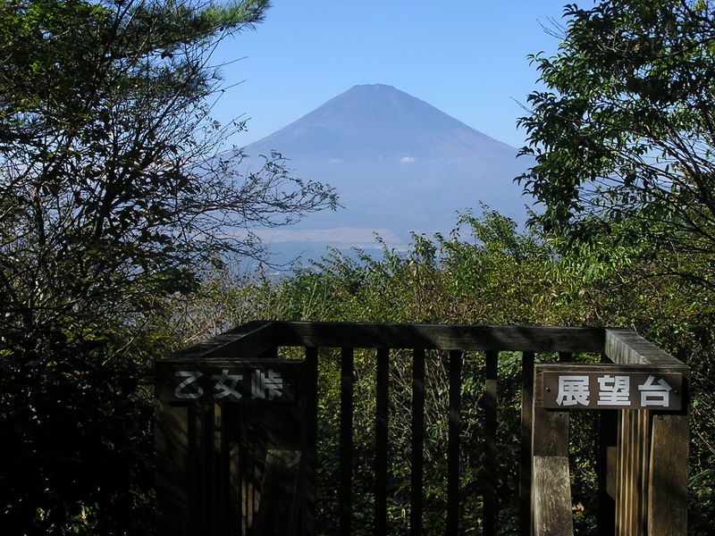 金時山 -- 乙女峠の展望台