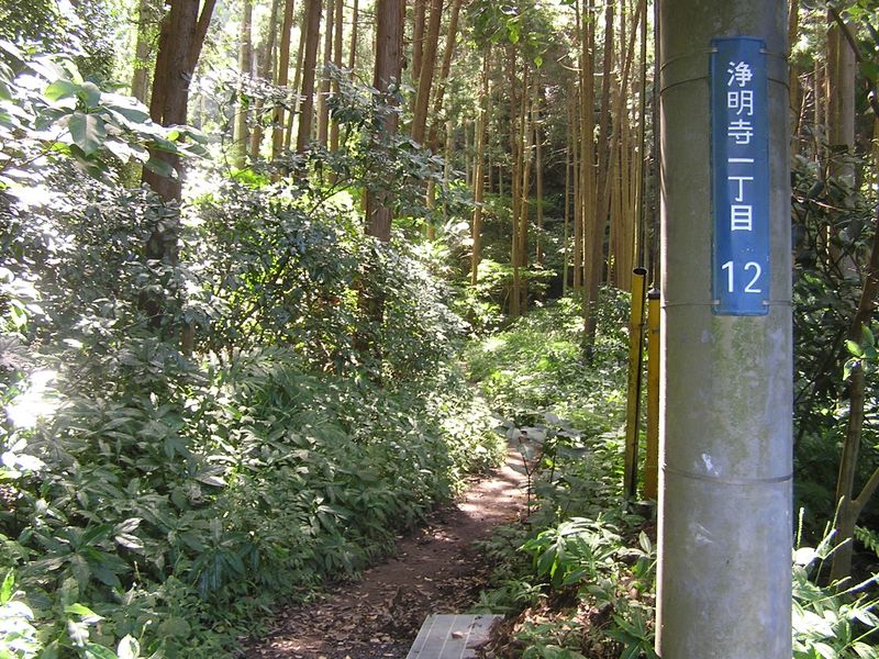 衣張山登山道入口