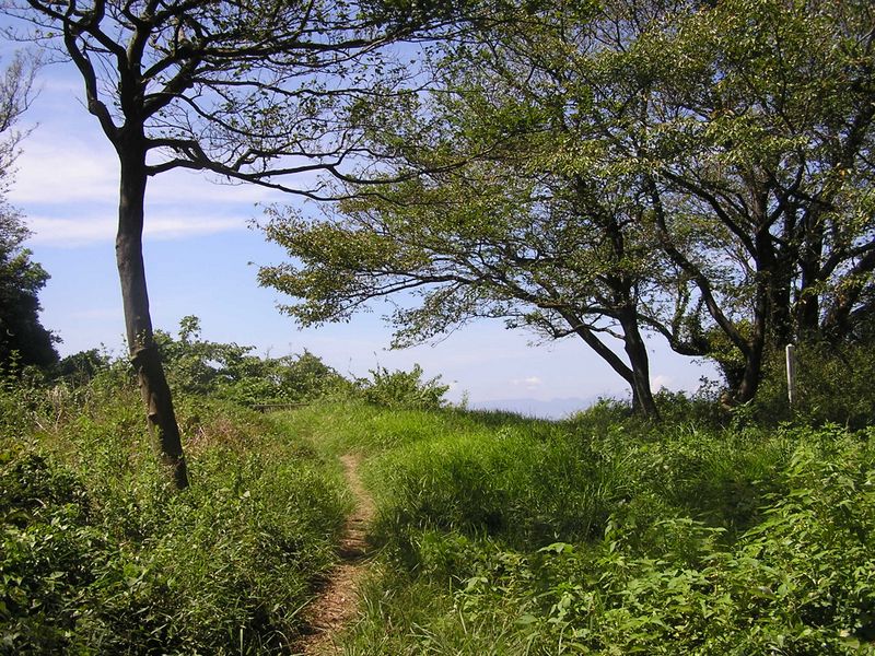 衣張山（北の峰）に到着