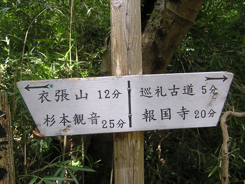 衣張山 -- 巡礼古道への分岐