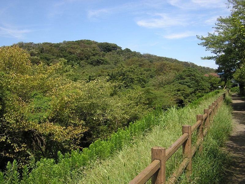 ハイランドより、衣張山を振り返る