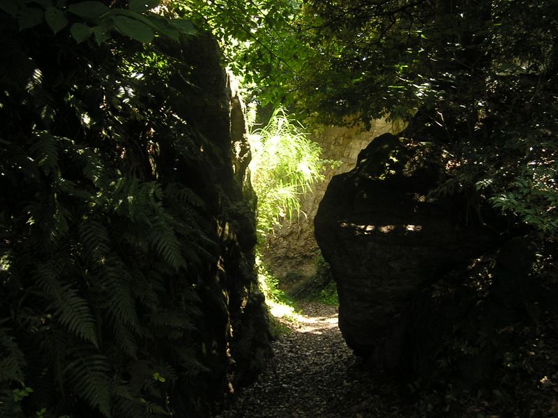 衣張山 -- 名越の切通し
