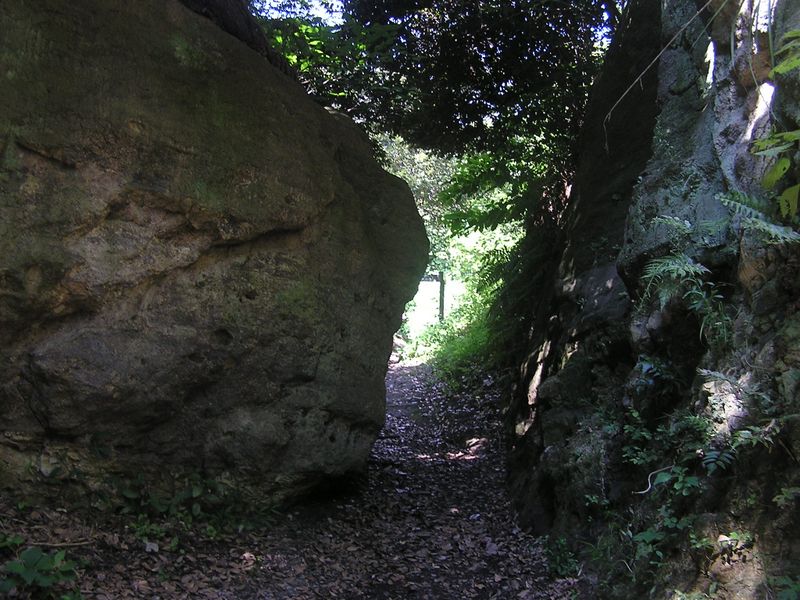衣張山 -- 名越の切通しを逆方向から