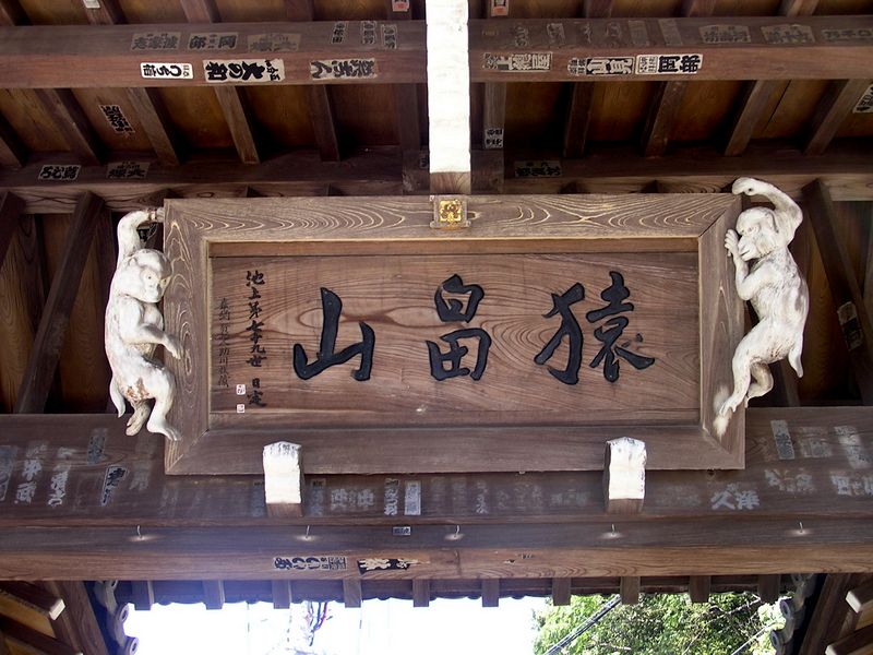 法性寺山門の白い猿