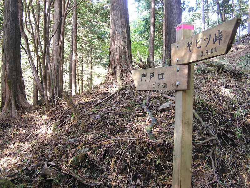 道は荒れていたが、道標はきれいだった