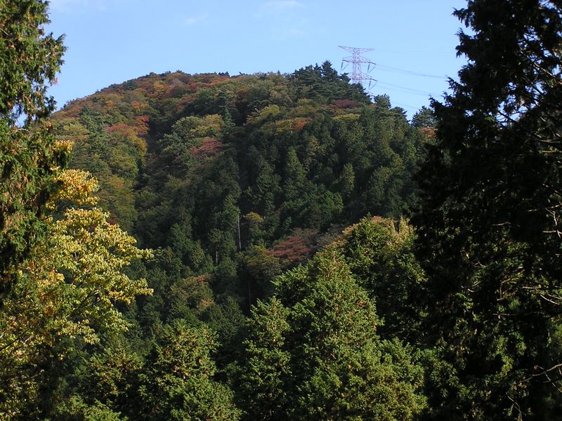 目指す16号鉄塔が見える