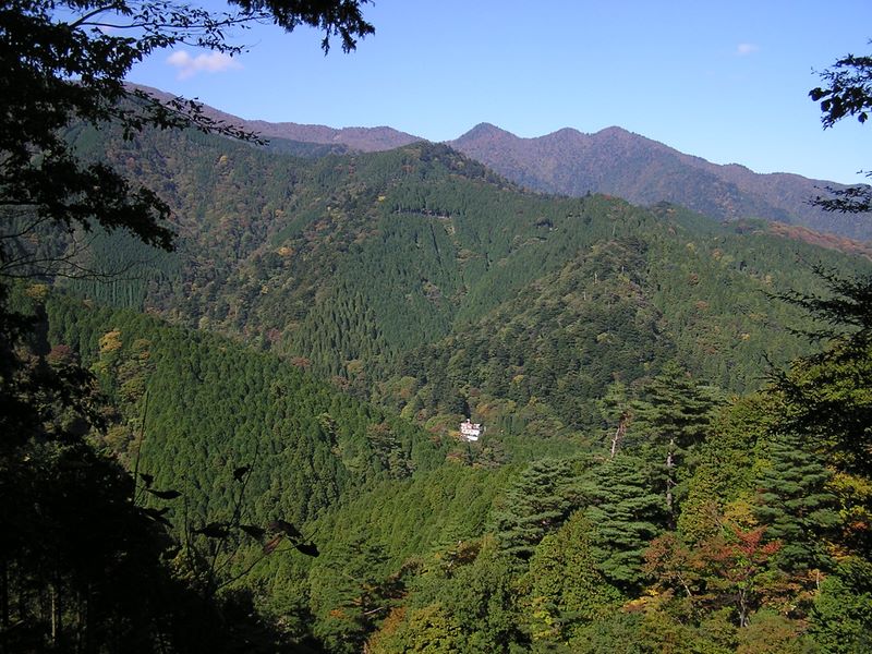 丹沢三峰を望む