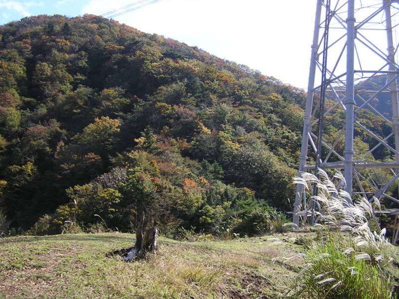 新多摩線16号鉄塔の立つ913m峰に到着