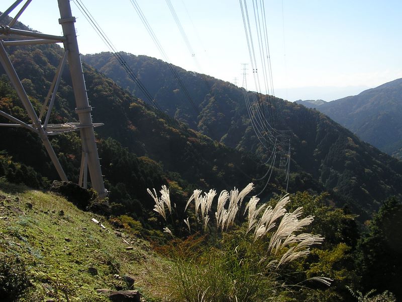 送電線の描く曲線