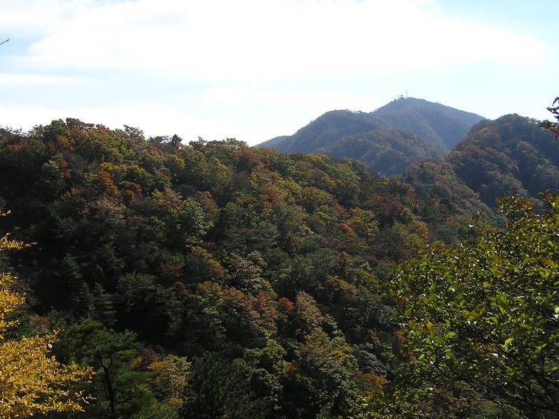 大山の右に西沢ノ頭、左にミズヒの頭