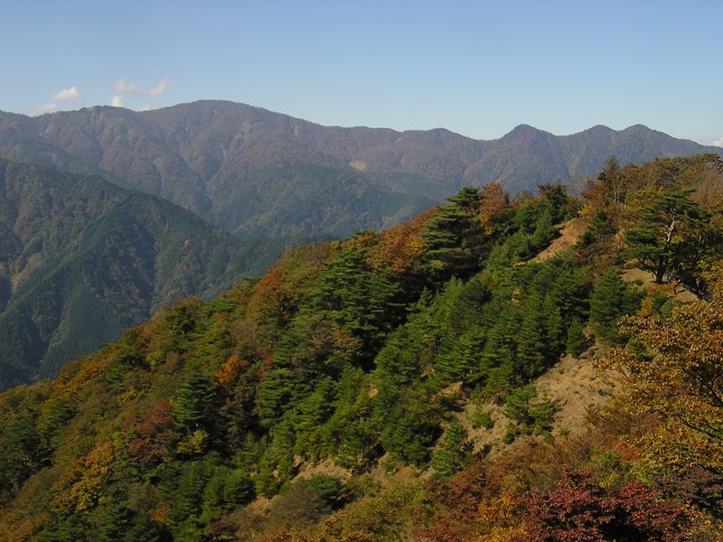 ミズヒの頭付近から望む丹沢山と丹沢三峰