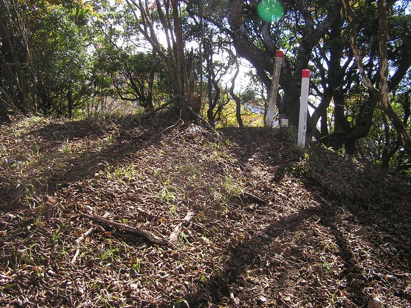 西沢ノ頭に到着