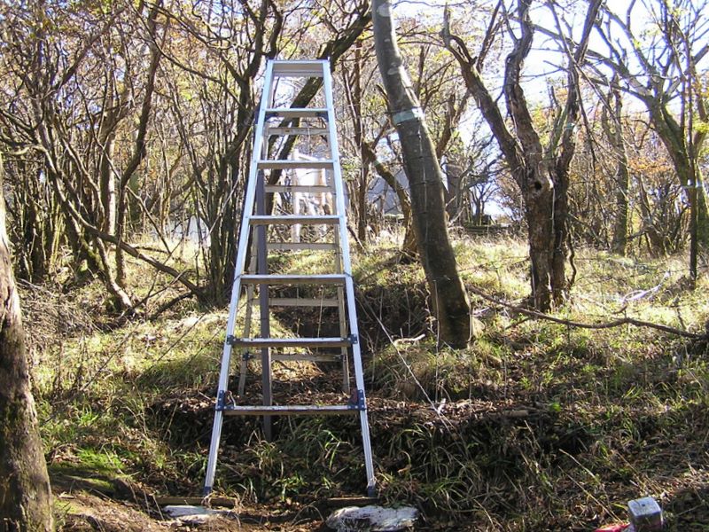 鹿柵を乗り越えるための脚立