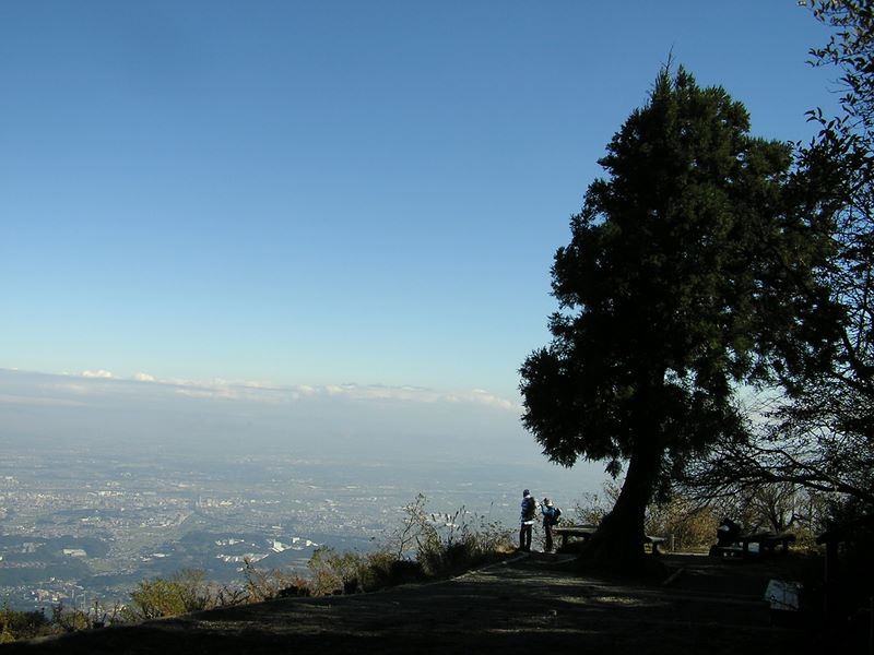 大山山頂から伊勢原市街地を望む