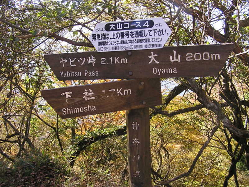 ヤビツ峠への分岐