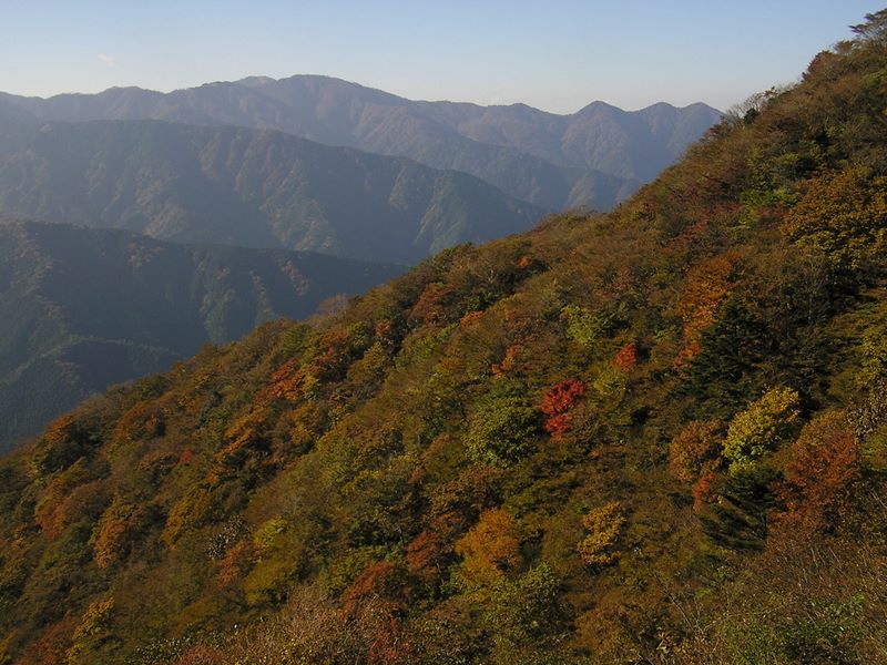 午後の日差しを受ける大山の紅葉