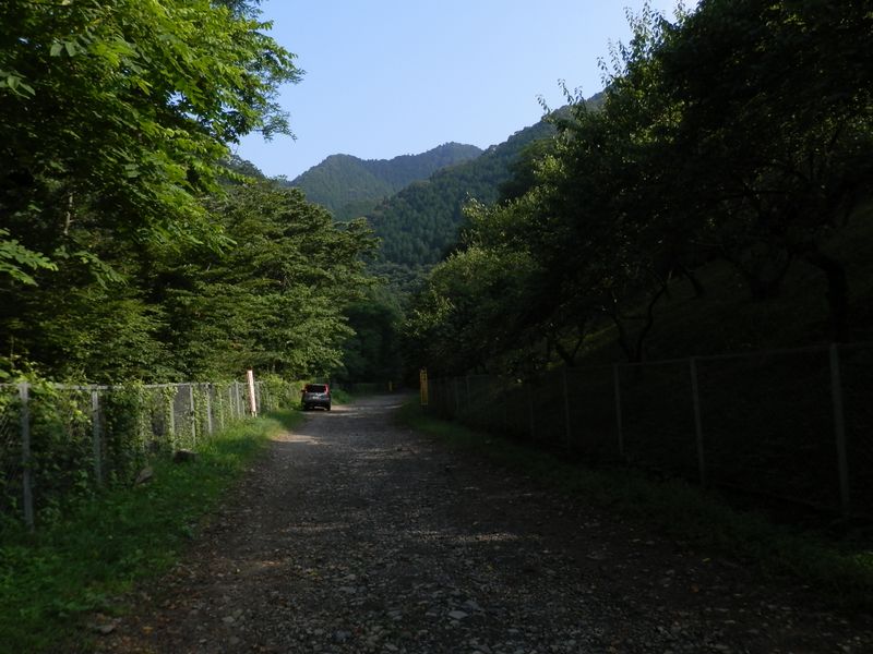 木下沢（こげさわ）梅林を右に見ながら…