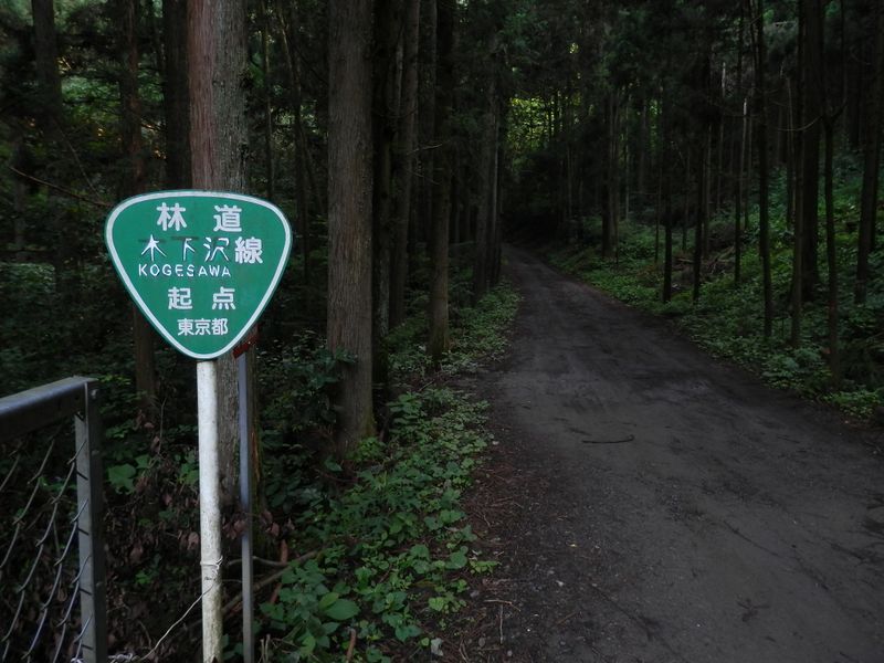 林道木下沢線に入る