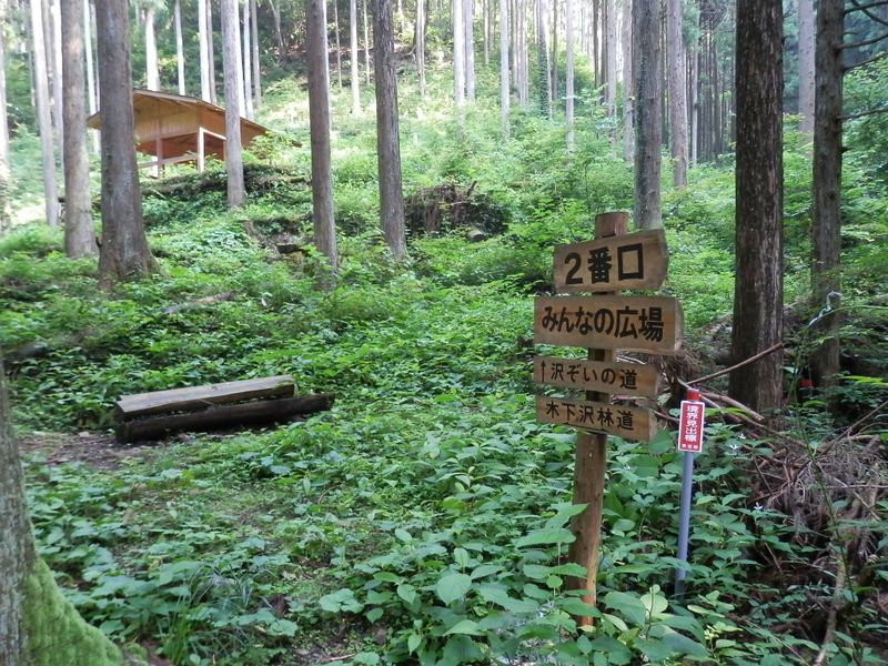 「沢ぞいの道」