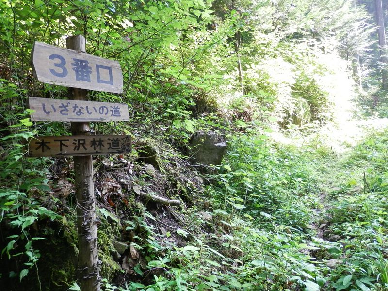 北高尾山稜 -- 「いざないの道」