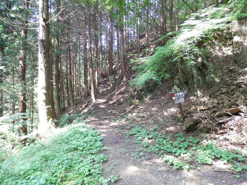 林道木下沢線の終点