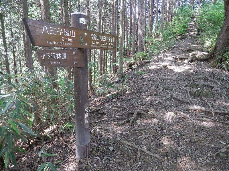 木下沢か？小下沢か？（関場峠にて）