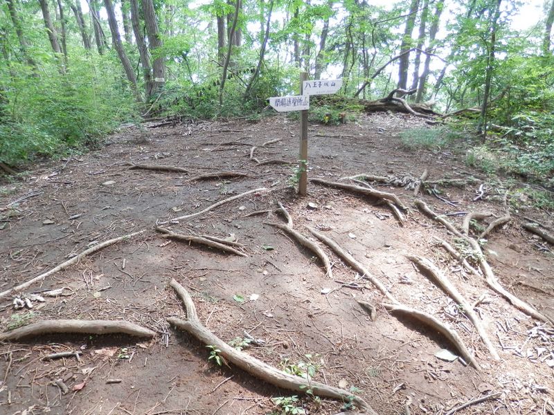 三本松山に到着
