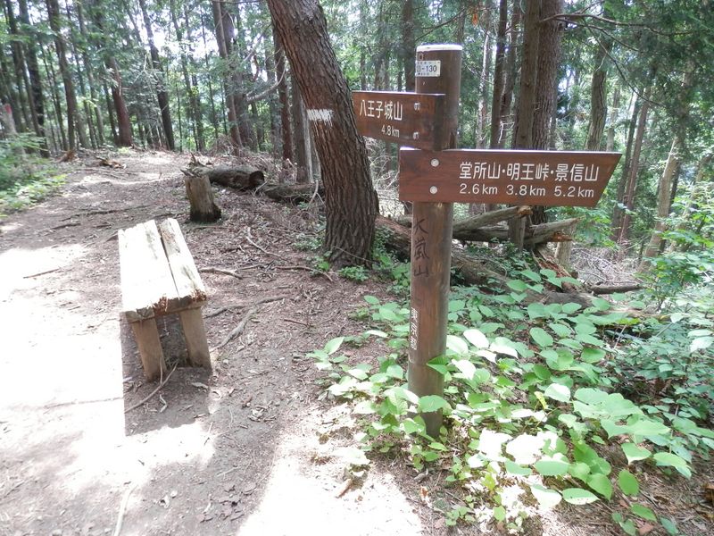 北高尾山稜 -- 大嵐山を通過