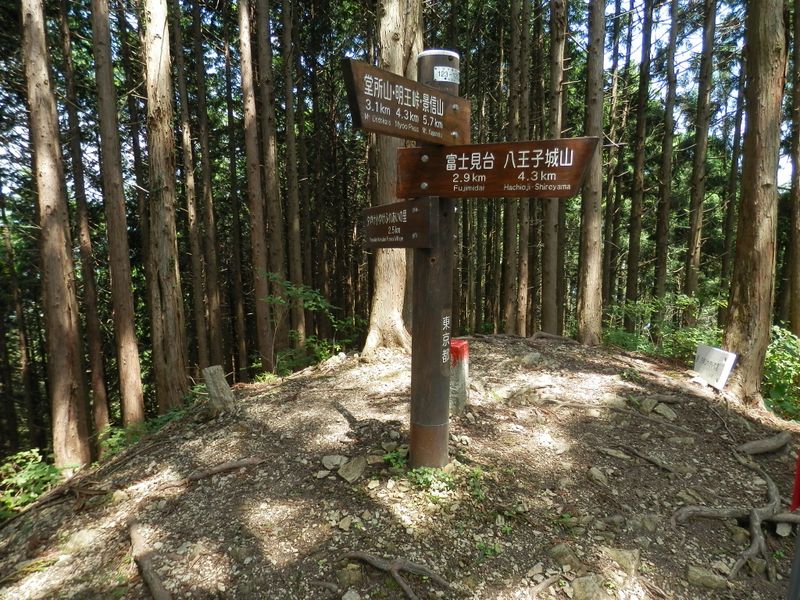 北高尾山稜 -- 黒ドッケに到着