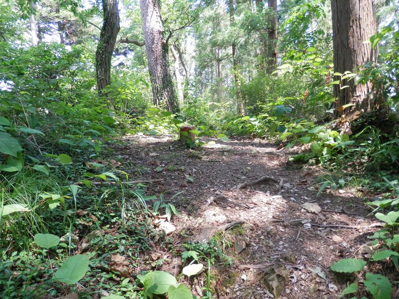 高尾山稜 -- ここが高ドッケ？