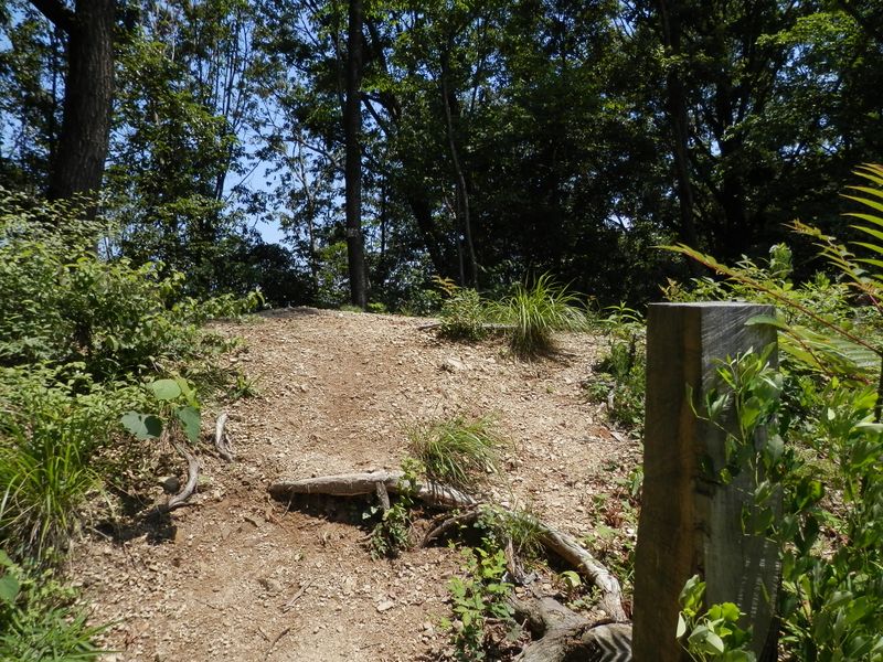 北高尾山稜 -- 杉沢ノ頭に到着